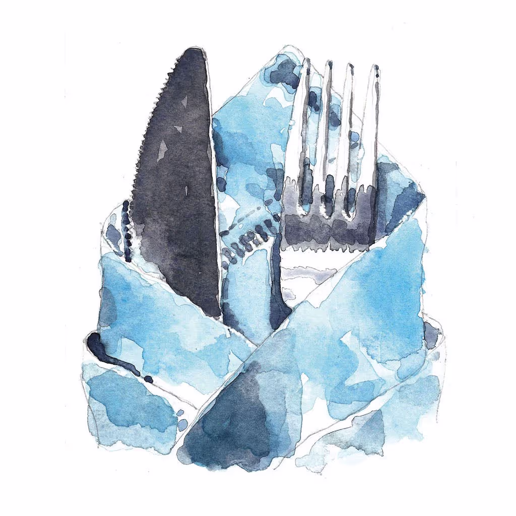 Ícone do aplicativo The Great Food Club