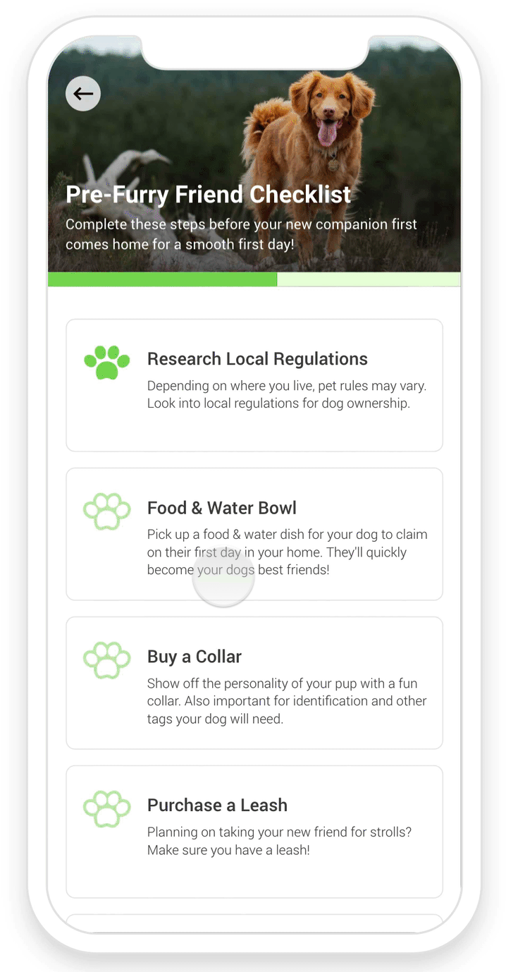 Pré-visualização da barra de progresso